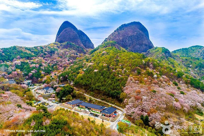 Maisan Cherry Blossom and Jeonju Hanok Village - Key points at a glance
