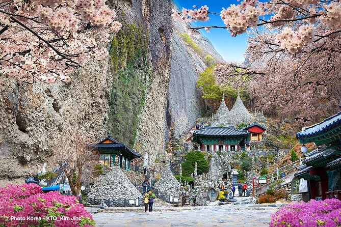 Maisan Cherry Blossom and Jeonju Hanok Village - Maisan Mountain and the spring cherry display