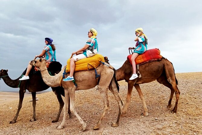 Majorel garden with lunch and camel ride Experience in Agafay - Three hours among the blue walls of Jardin Majorelle
