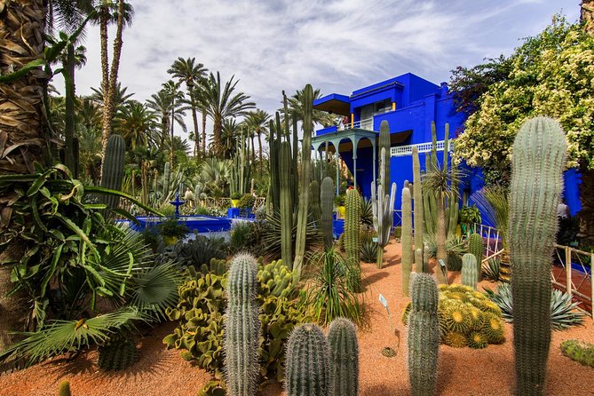 Majorelle Garden and Camel Ride Tour from Marrakech - The Berber Museum and local culture