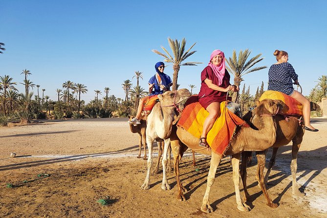 Majorelle Garden and Camel Ride Tour from Marrakech - Tea, pancakes, and a Berber family home