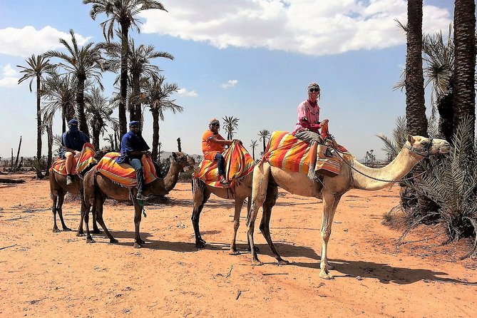 Majorelle Garden and Camel Ride Tour from Marrakech - Why the eight-person limit matters