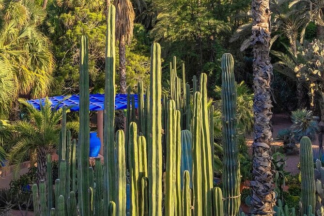 Majorelle Garden, St Laurent and Berber Museum Round Trip Ticket - Ticket handling is the main point to question