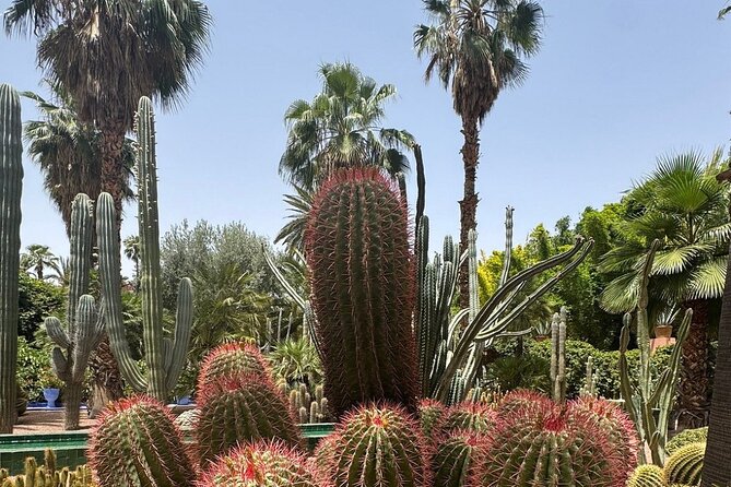 Majorelle Garden, St Laurent and Berber Museum Round Trip Ticket - Who will get the most from this experience