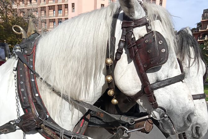 Majorelle-Menara garden & the Yves Saint Laurent museum Horse carriage tours - Menara Garden: a short stop with wide views