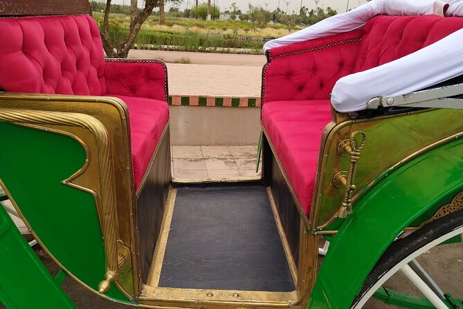 Majorelle-Menara garden & the Yves Saint Laurent museum Horse carriage tours - What the horse carriage adds