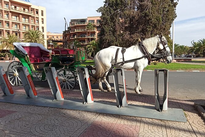 Majorelle-Menara garden & the Yves Saint Laurent museum Horse carriage tours - Three hours is a tight plan