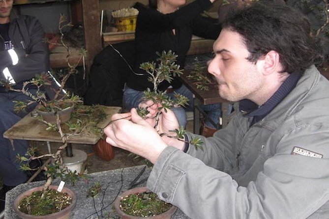 Make Your Own Bonsai with a Professional Bonsai Artist in Tokyo - Why making one bonsai feels different from simply seeing one