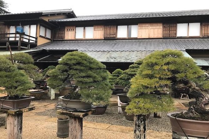 Make Your Own Bonsai with a Professional Bonsai Artist in Tokyo - Inside Shunkaen Bonsai Museum