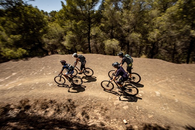 Malaga E-MTB Tour: Botanical Garden, Natural Park and Port of Malaga - Passing the Botanical Garden on the way to Limonero Lake
