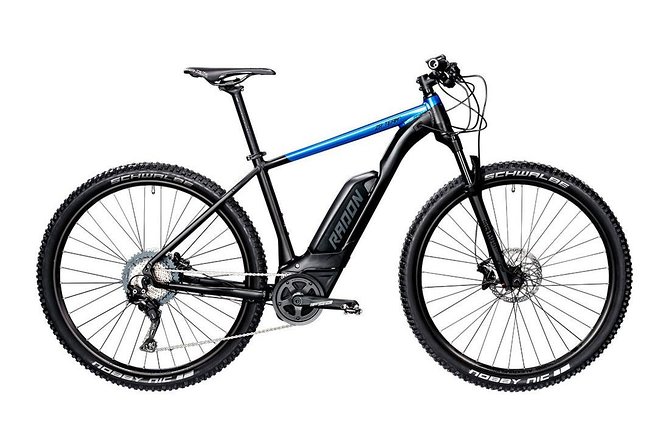 Malaga E-MTB Tour: Botanical Garden, Natural Park and Port of Malaga - Who will enjoy this ride most