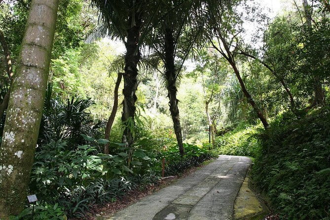 Malaysia: Penang Tropical Spice Garden Guided Tours Tickets - Choosing a Guide or Audio Tour