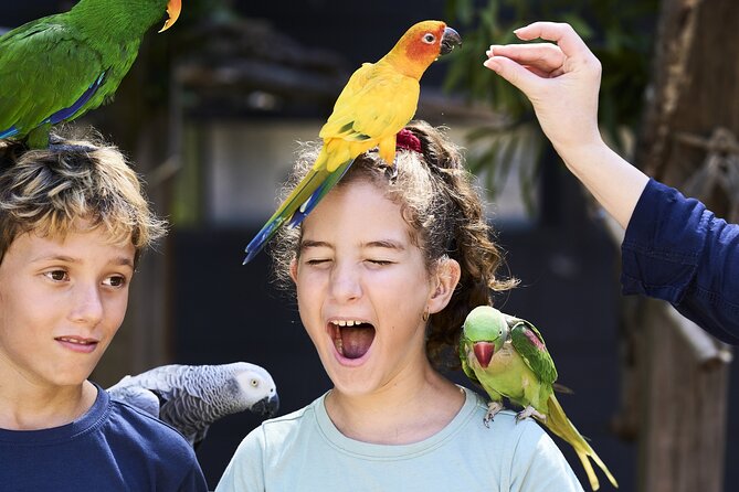 Maleny Botanic Gardens Bird Aviary Experience Ticket - What happens inside the aviary