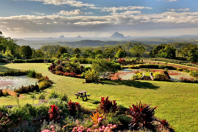 Maleny Botanic Gardens Bird Aviary Experience Ticket - A good family day, not just a bird stop