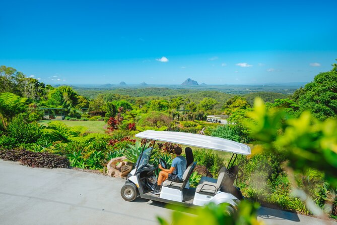 Maleny Botanic Gardens Bird Aviary Experience Ticket - Timing your visit for better bird activity