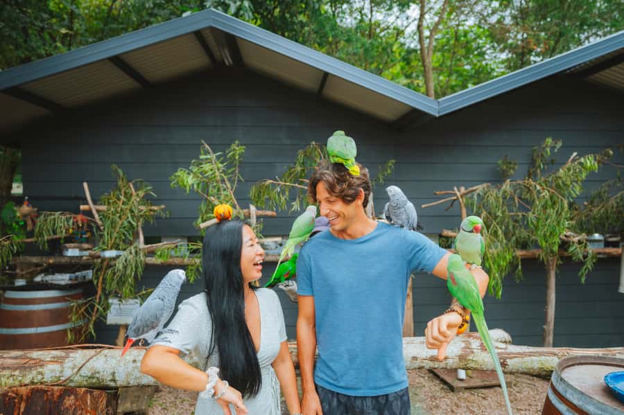 Maleny: Maleny Botanic Gardens & Bird World Entry Ticket - What the guided aviary tour adds