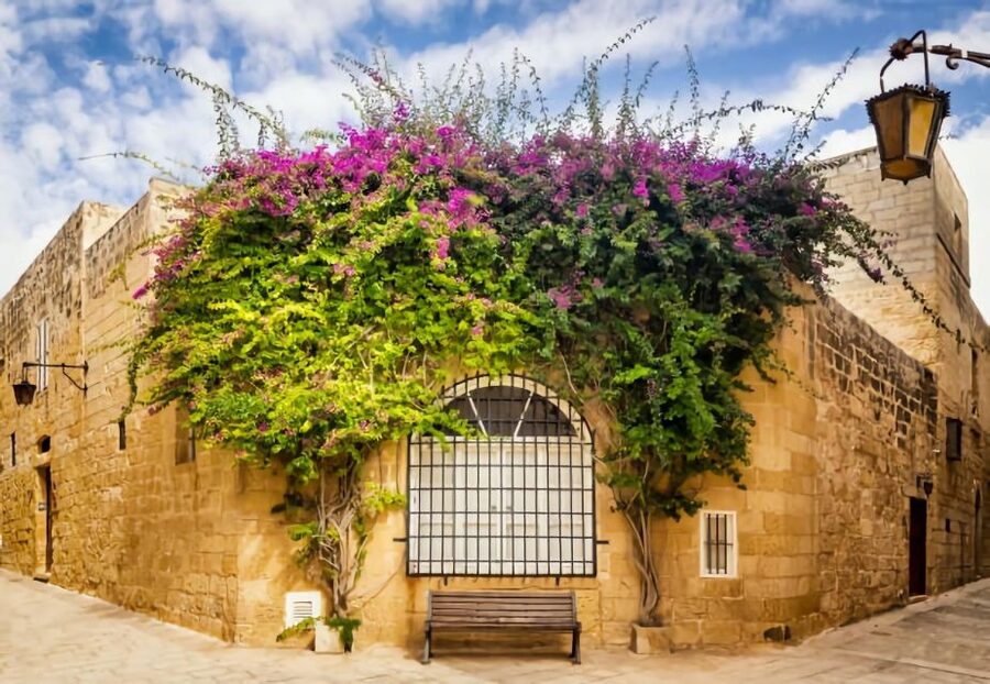 Malta: Mdina, Dingli Cliffs and San Anton Botanical Gardens - How the morning pickup works
