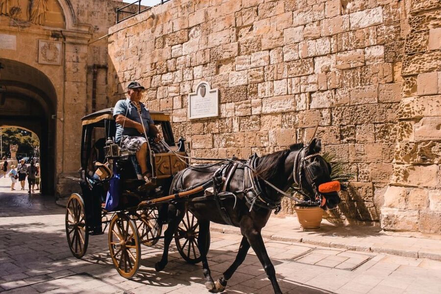 Malta: Mdina, Dingli Cliffs and San Anton Botanical Gardens - Is $41 a good value?