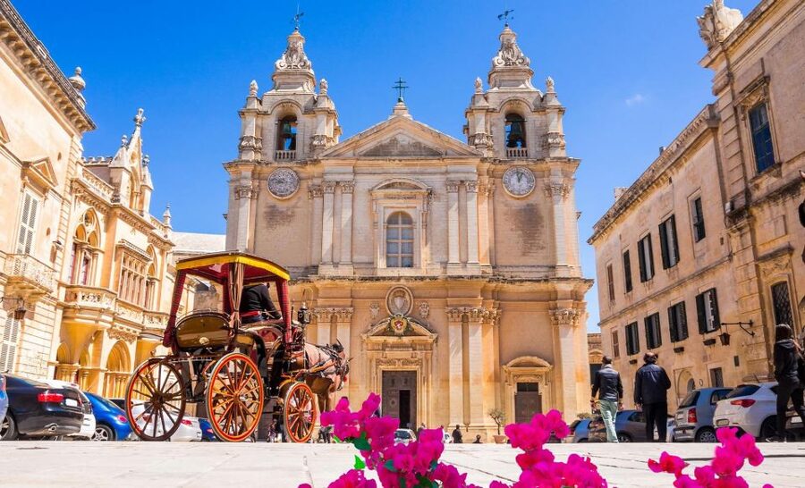 Malta: Mdina, Dingli Cliffs and San Anton Botanical Gardens - Should you book it?