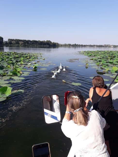 Mantua: Boating on Lake Superiore among the Lotus Flower Islands - Key points at a glance