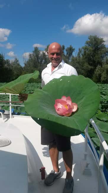 Mantua: Boating on Lake Superiore among the Lotus Flower Islands - Why the lotus flowers make this Mantua cruise special