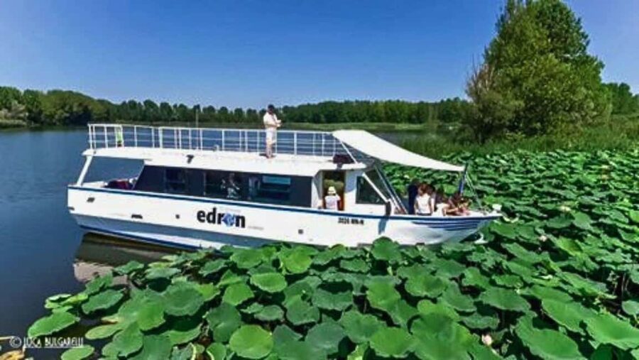 Mantua: Boating on Lake Superiore among the Lotus Flower Islands - What the 75-minute ride is really about