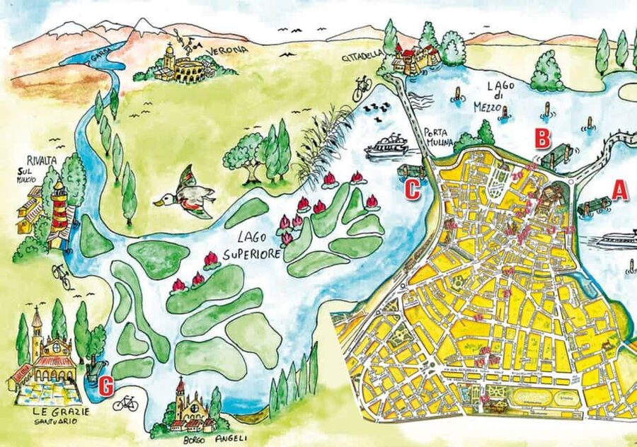 Mantua: Boating on Lake Superiore among the Lotus Flower Islands - Practical rules before you board
