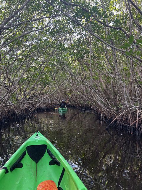 Marco Island: Mangrove Maze Kayak Tour (2hrs) - Starting at the Blue Van and Boat Launch