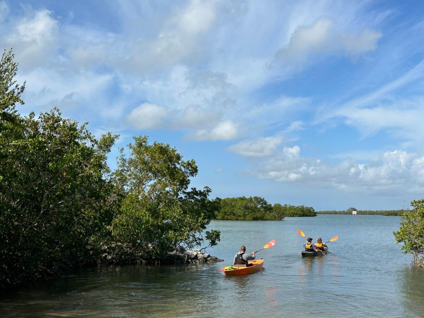 Marco Island: Mangrove Maze Kayak Tour (2hrs) - Why the Eight-Person Limit Matters