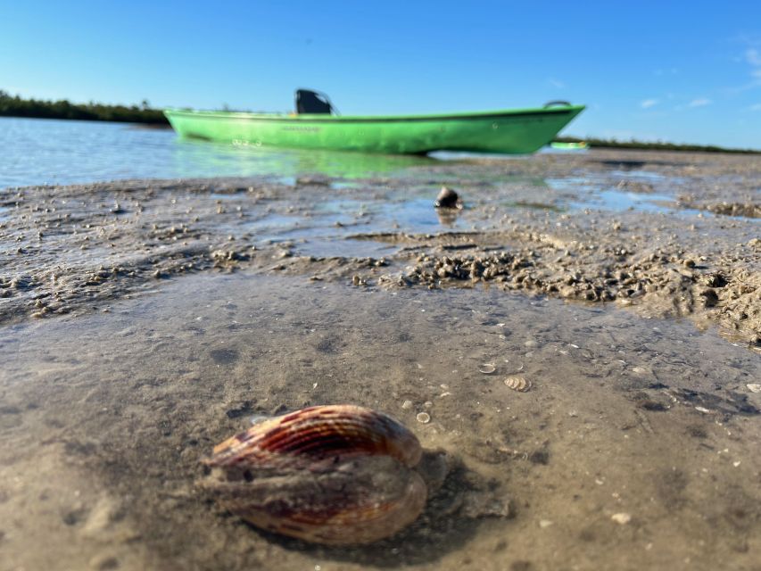 Marco Island: Mangrove Maze Kayak Tour (2hrs) - What Is Included for $70