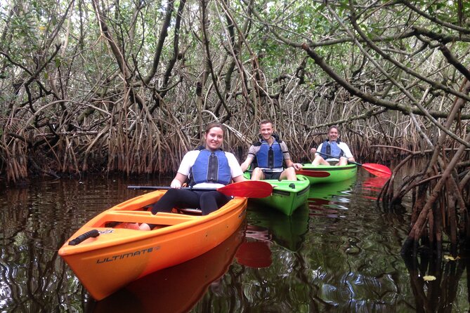 Marco Island Mangrove Tunnel and Maze Adventure Small group size - Key points at a glance
