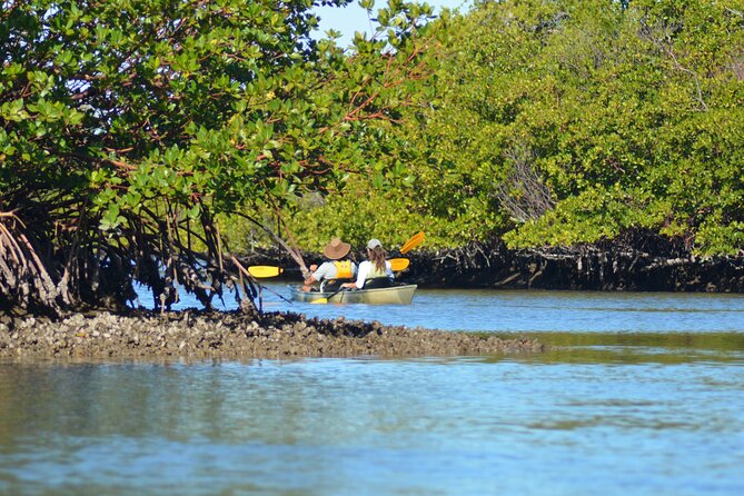 Marco Island Mangrove Tunnel and Maze Adventure Small group size - Guides who make the route easier