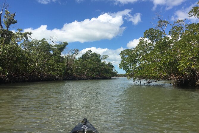 Marco Island Mangrove Tunnel and Maze Adventure Small group size - Is two hours enough?