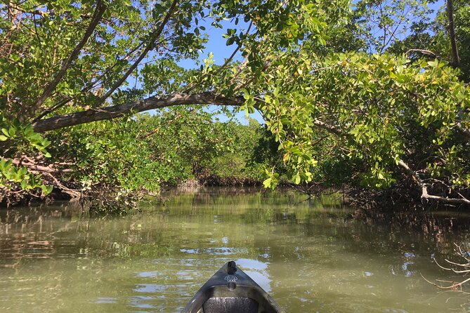 Marco Island Mangrove Tunnel and Maze Adventure Small group size - Who will enjoy this most