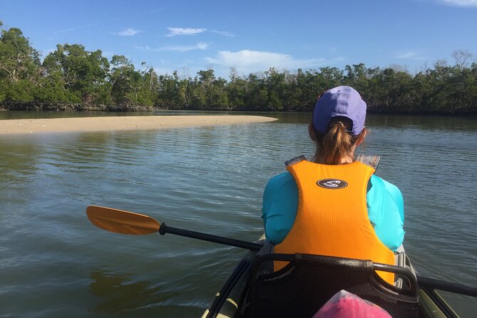 Marco Island Mangrove Tunnel and Maze Adventure Small group size - From open water into the mangrove maze