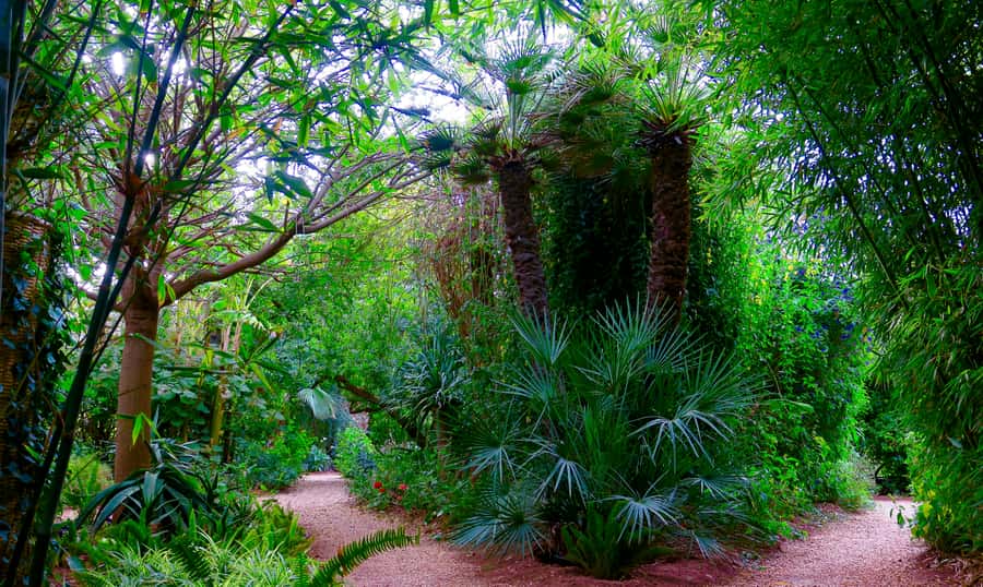 Marrakech: André Heller's ANIMA Garden Ticket - Should you book ANIMA Garden?