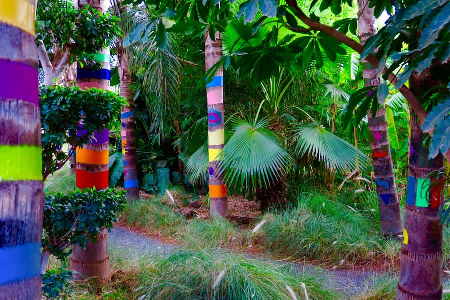 Marrakech: André Heller's ANIMA Garden Ticket - Who will enjoy ANIMA most?