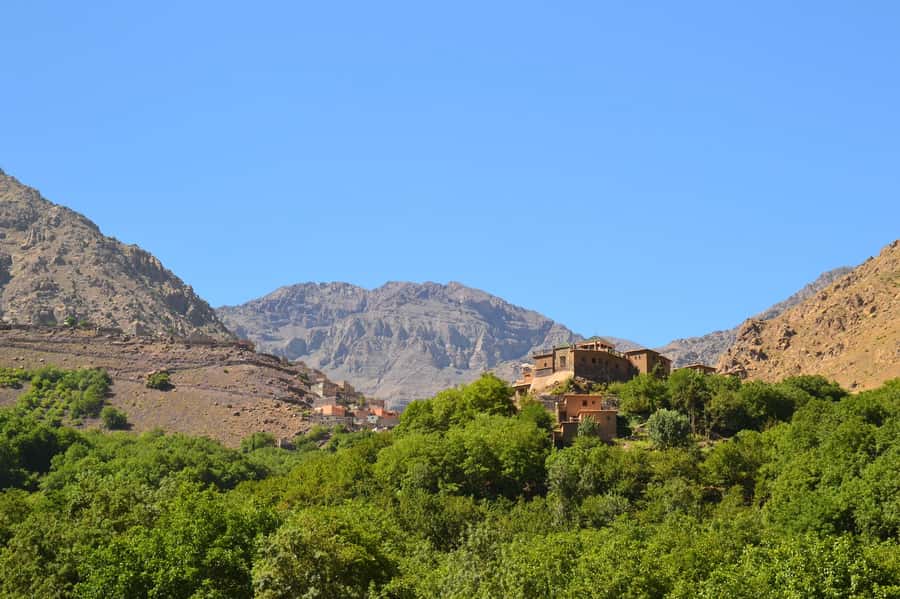 Marrakech: Anima Garden, Saffron Farm and Ourika Valley Trip - Useful planning advice for the day
