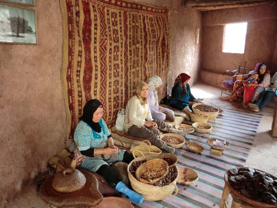 Marrakech: Anima Garden, Saffron Farm and Ourika Valley Trip - From Marrakech to the foothills of the High Atlas