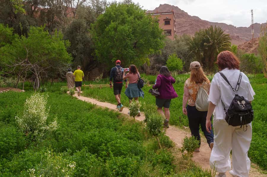 Marrakech: Anima Garden, Saffron Farm and Ourika Valley Trip - What the private format changes