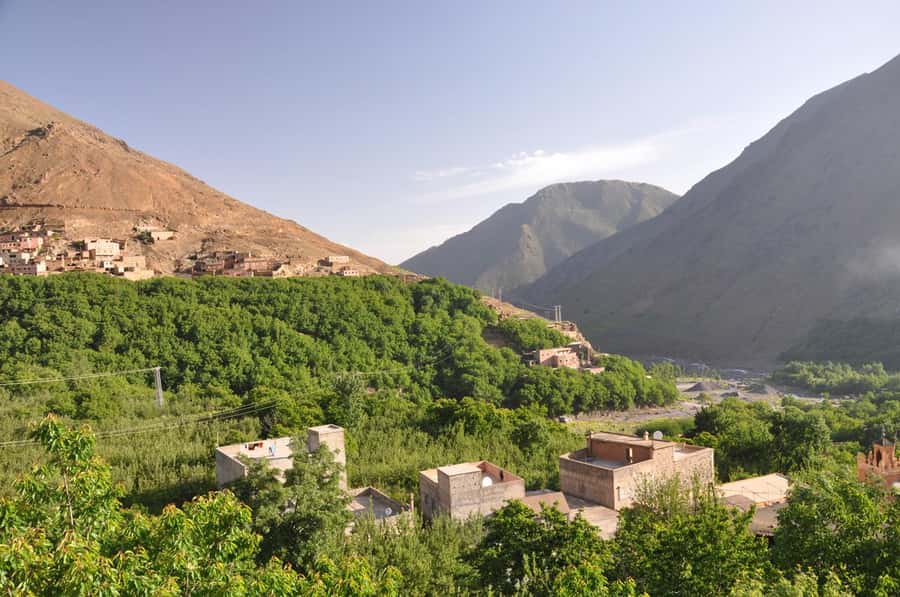Marrakech: Anima Garden, Saffron Farm and Ourika Valley Trip - Is $115 per person good value?