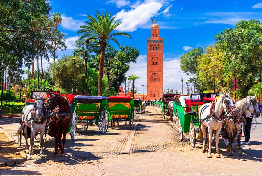 Marrakech: Bahia Palace, Madrasa Ben Youssef & Secret Garden - Koutoubia Mosque begins the story