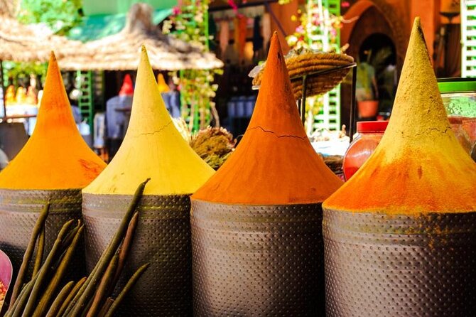 Marrakech: Guided City & Gardens Highlights Tour - Menara Garden and the Atlas Mountain setting
