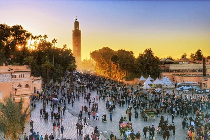 Marrakech: Guided City & Gardens Highlights Tour - Lunch, shopping, and the biggest catch