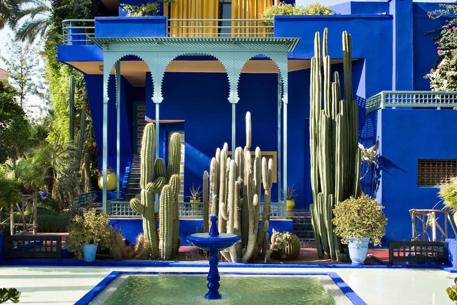 Marrakech: Majorel Garden, Camel ride in Palmerai, City trip - Key points to know before booking