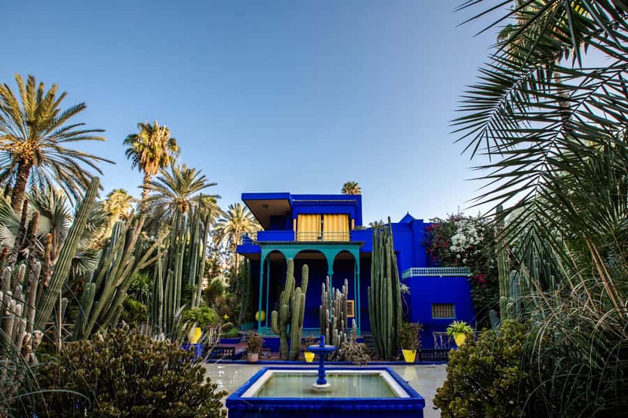 Marrakech: Majorel Garden, Camel ride in Palmerai, City trip - Who will enjoy this Marrakech combination