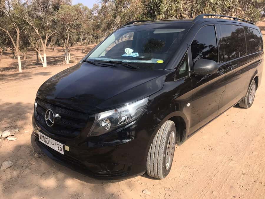 Marrakech: Majorel Garden, Camel ride in Palmerai, City trip - What the transport and inclusions mean