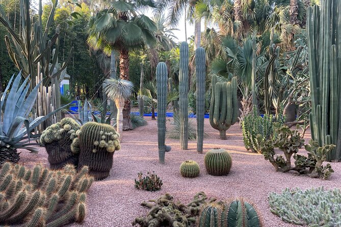 Marrakech Majorel garden entry ticket - A One to Three Hour Visit
