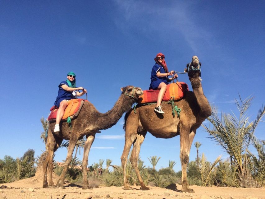Marrakech: Majorelle Garden Entry Tickets Online - Key points at a glance