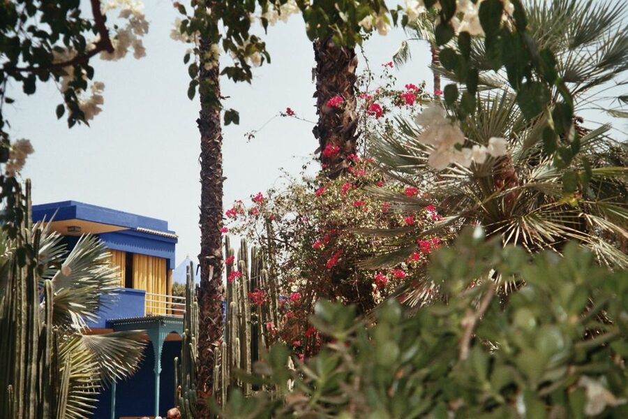 Marrakech: Majorelle Garden Entry Tickets Online - Why Majorelle Garden feels different from a normal city park